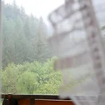 Seebach-hotel 호텔 *