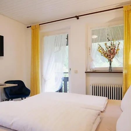 Seebach-hotel 酒店 *
