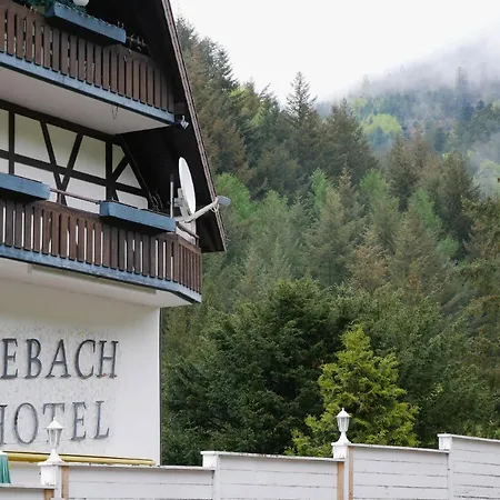 酒店 Seebach-hotel 塞埃巴克