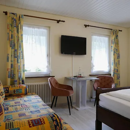 Seebach-hotel 塞埃巴克