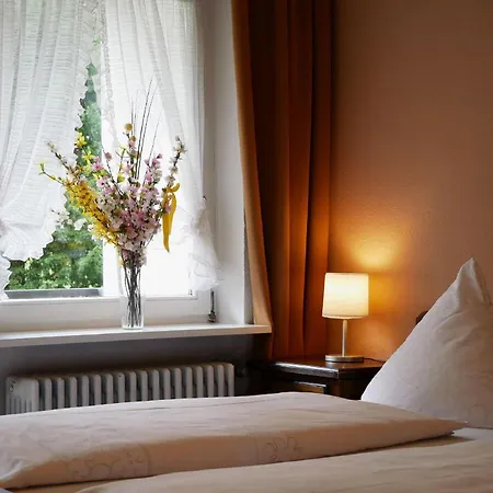 Seebach-hotel 塞埃巴克
