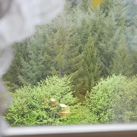 Seebach-hotel מלון זיבאך