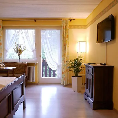 Seebach-hotel 酒店 *