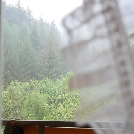 Seebach-hotel Hotel *