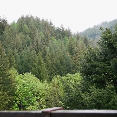 מלון Seebach-hotel *