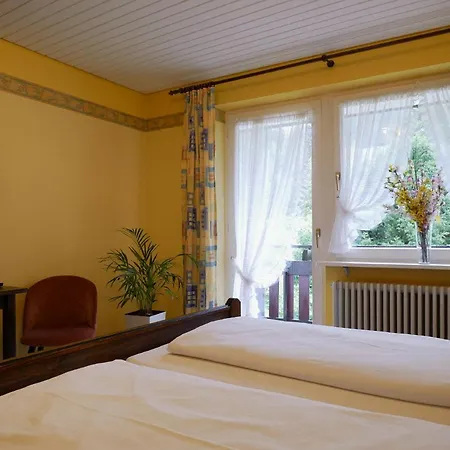 酒店 Seebach-hotel 塞埃巴克