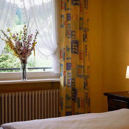 Seebach-hotel *