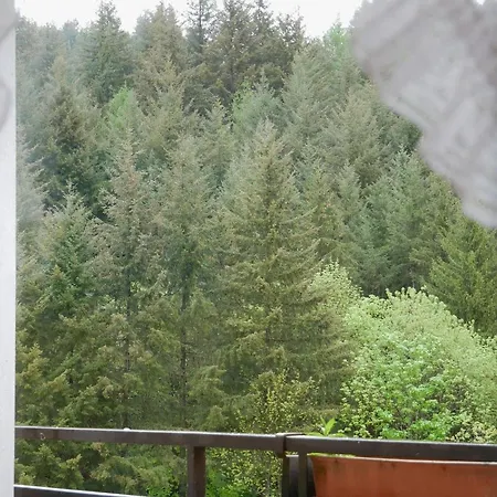 Seebach-hotel *