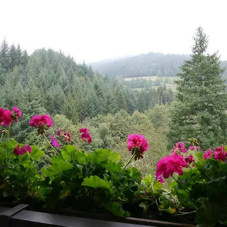 Seebach-hotel * 塞埃巴克