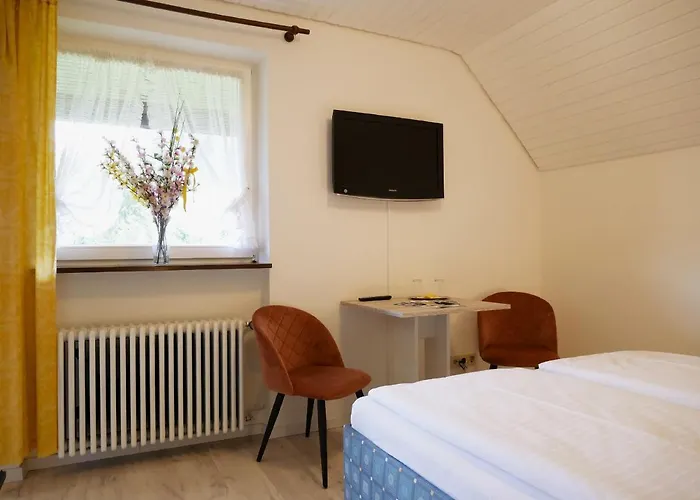 Seebach-hotel Hotel *