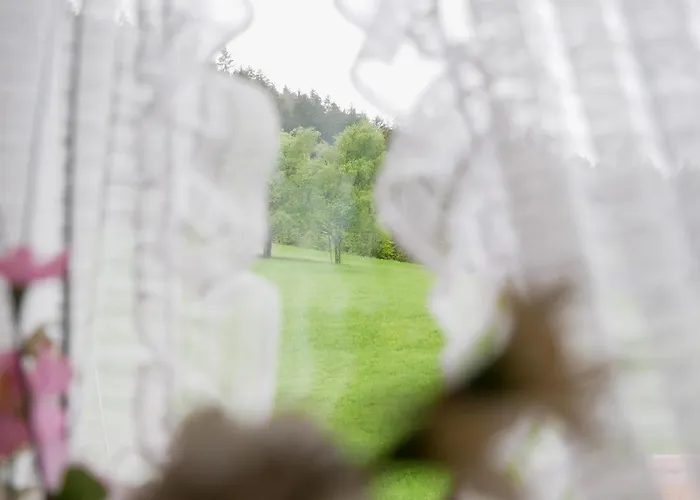 Hotel Seebach-hotel Seebach