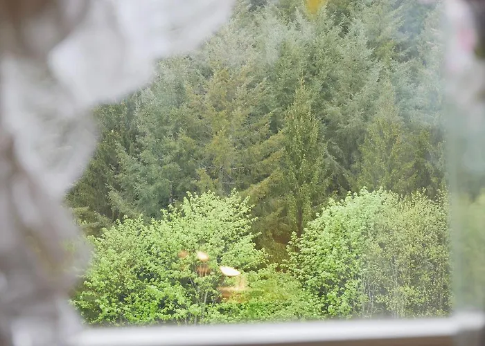 Seebach-hotel Hotel Seebach