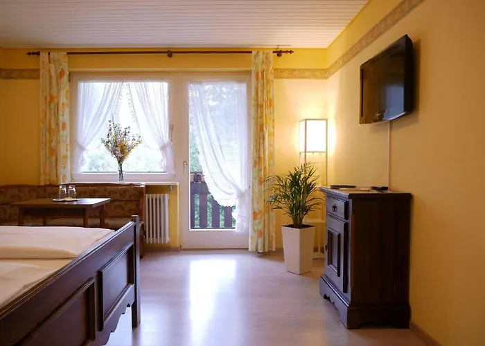 Seebach-hotel Hotel *