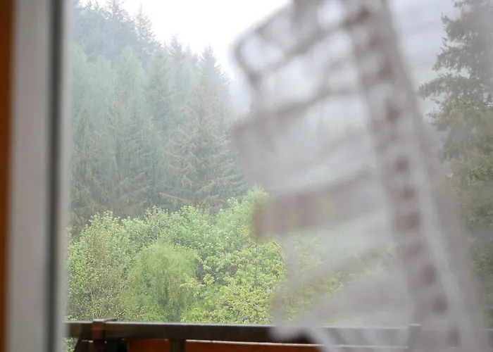 Seebach-hotel Hotel *