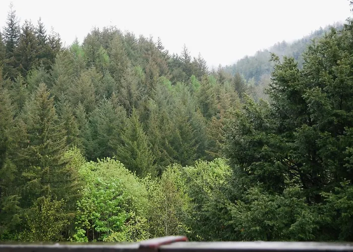 Hotel Seebach-hotel *