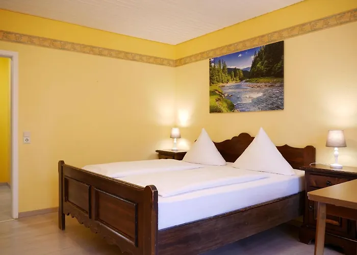 Seebach-hotel Hotel *